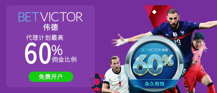 代理计划: 60%永久佣金